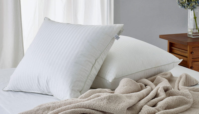 listings-pillow-eurosquare_1_2.jpg